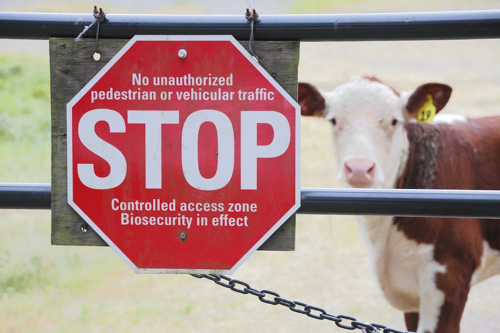 NSW Farmers oppose proposed biosecurity levy
