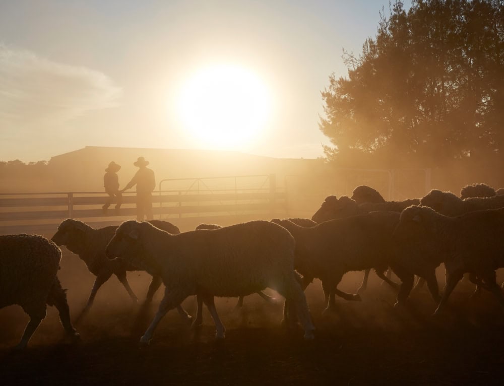 Pledge to bolster Farm Innovation Fund