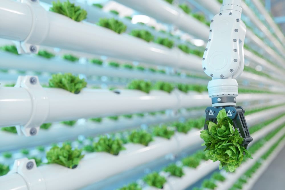 In defence of modern agriculture: is the ‘old way’ always better? 