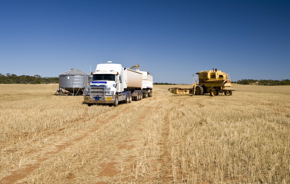 Barley tariffs finally scrapped by China