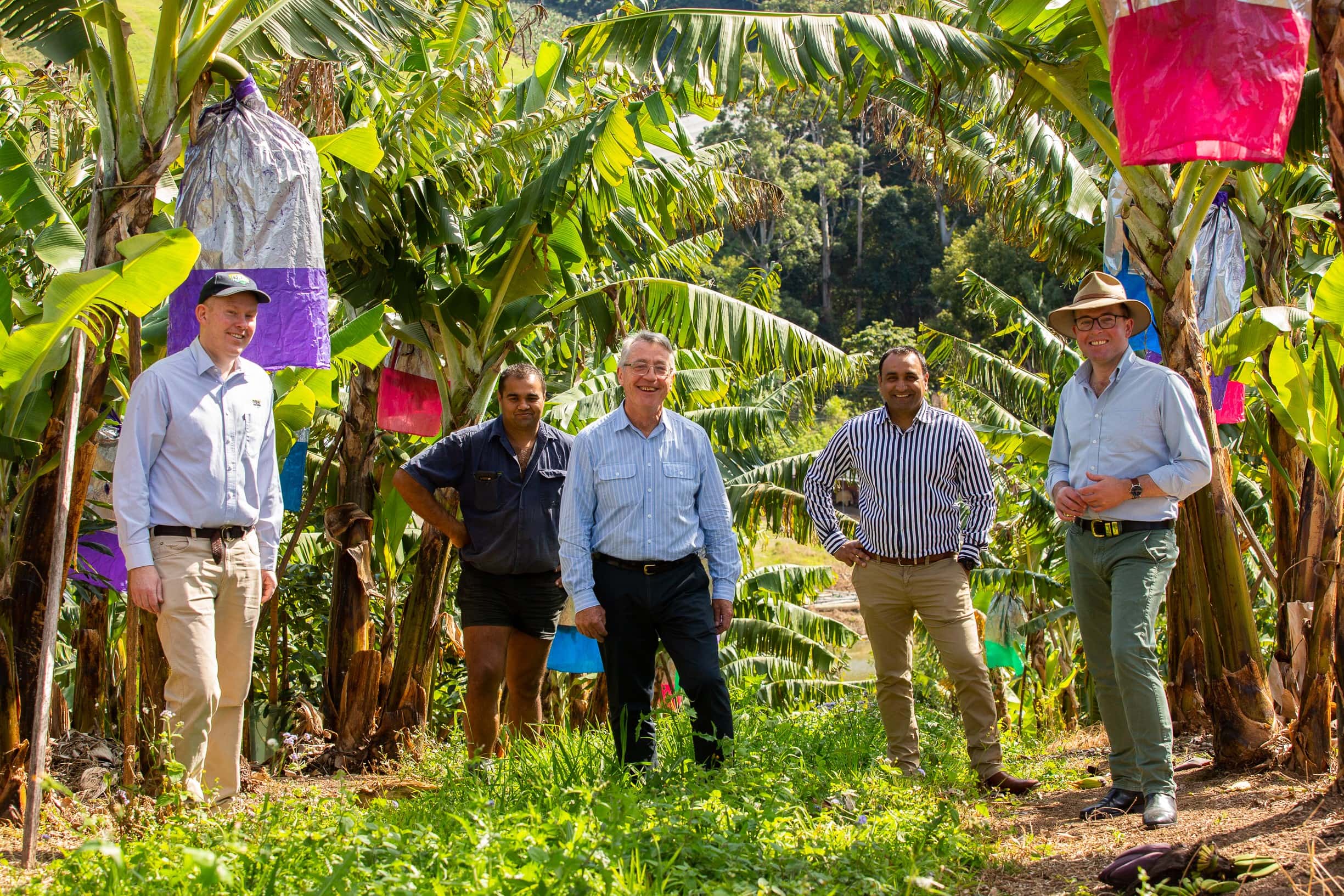 NSW ag sector feedback needed on right to farm & land use planning