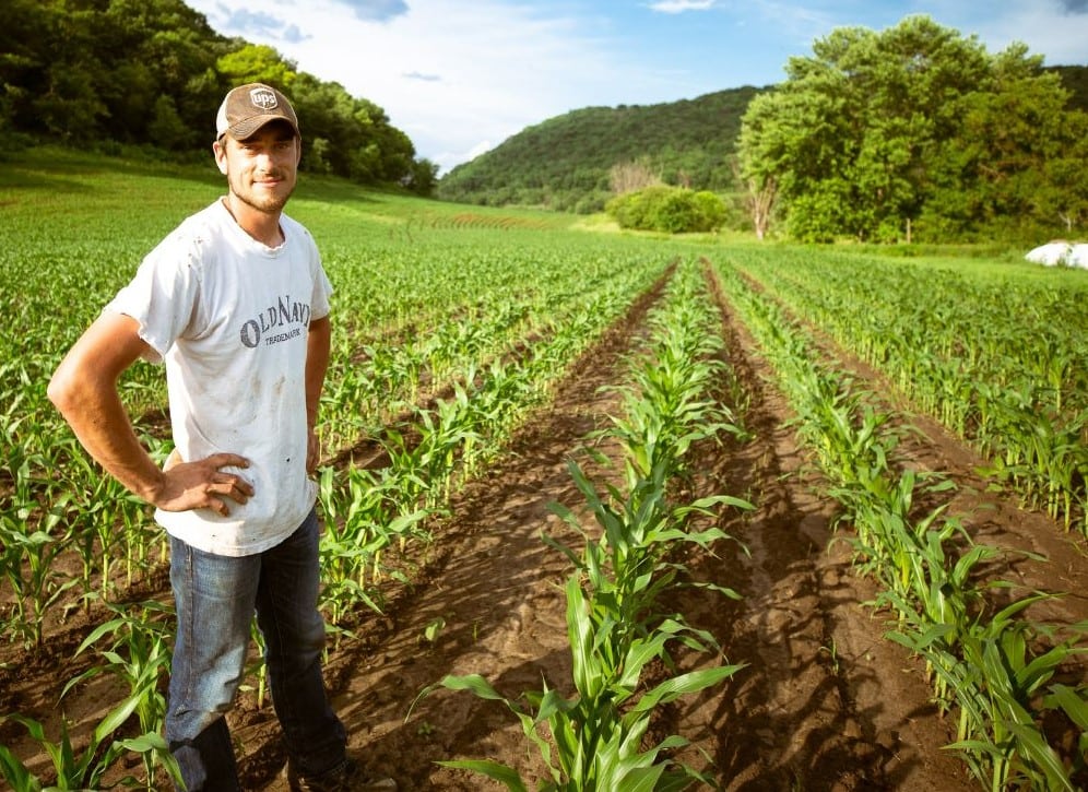 Free mental health support for NSW farming businesses